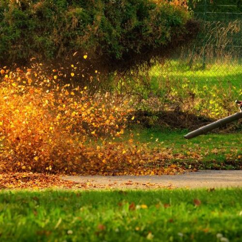 Guide to Choosing the Right Gas Leaf Blower