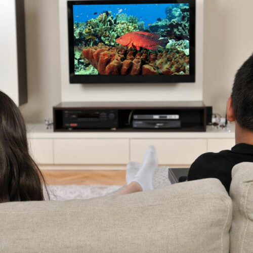 LED TV’s best-kept secrets