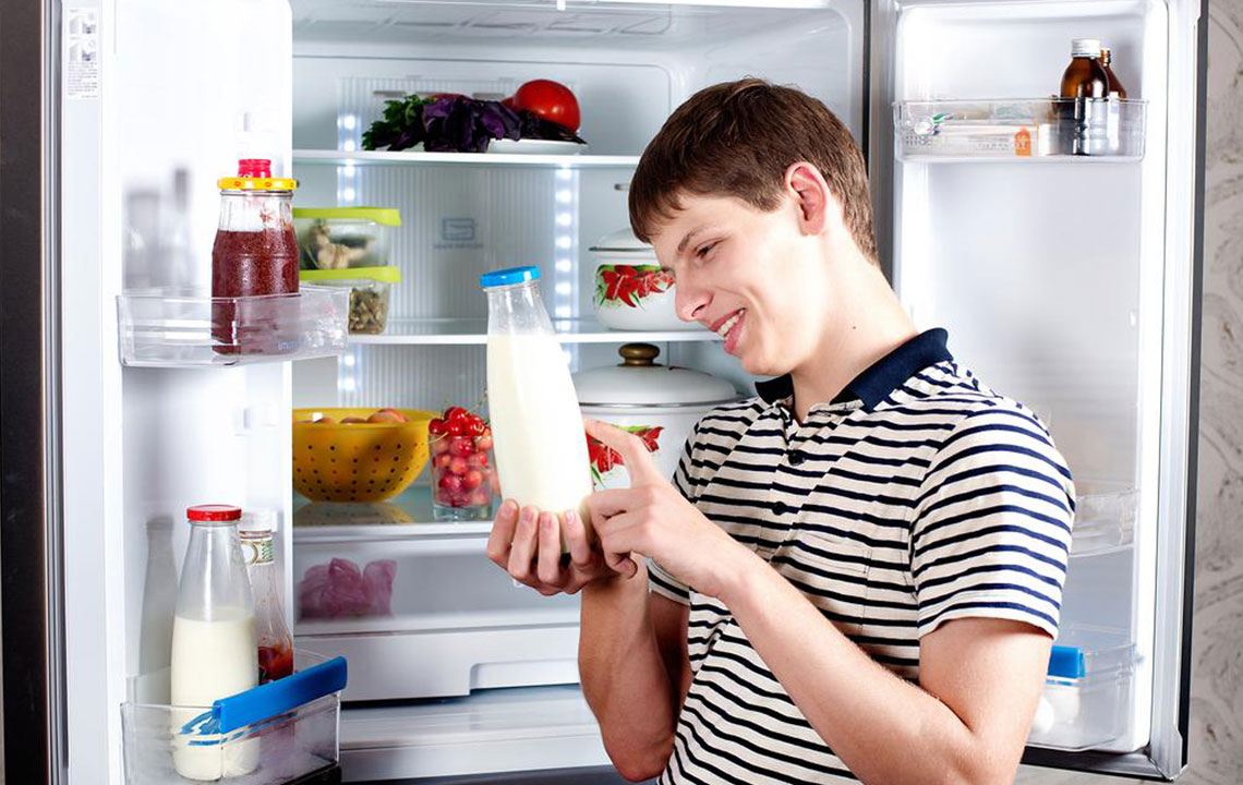 Refrigerators – Choosing from the popular brands